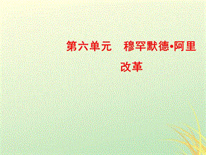 2018_2019學(xué)年高中歷史第六單元穆罕默德·阿里改革（課件練習(xí)）（打包7套）新人教版.zip