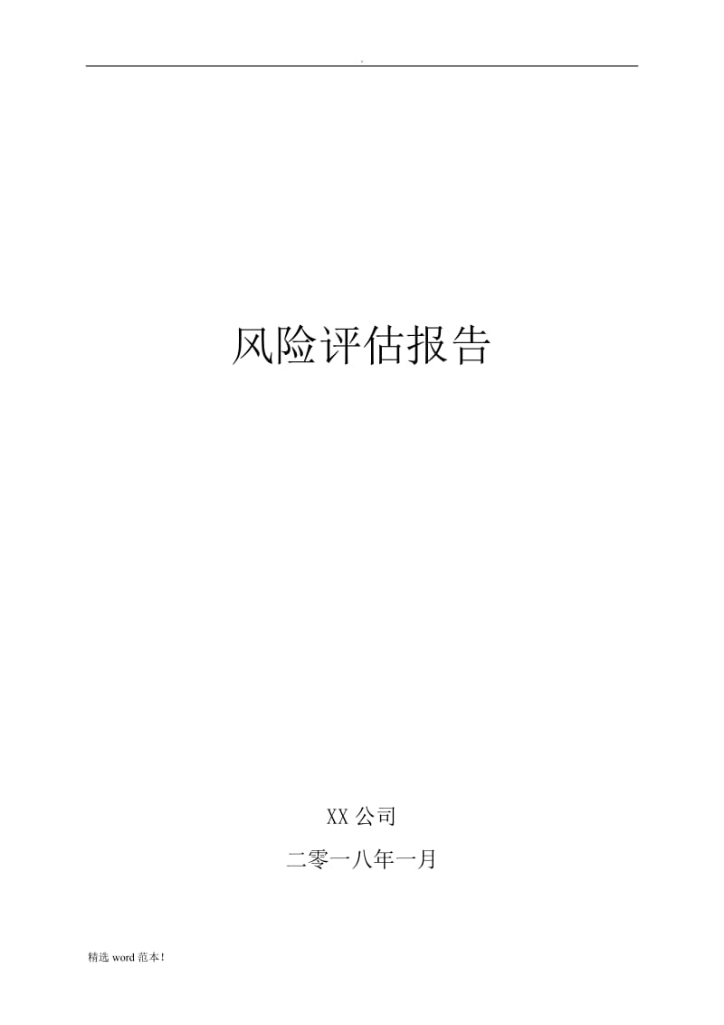 公司风险评估报告.doc_第1页