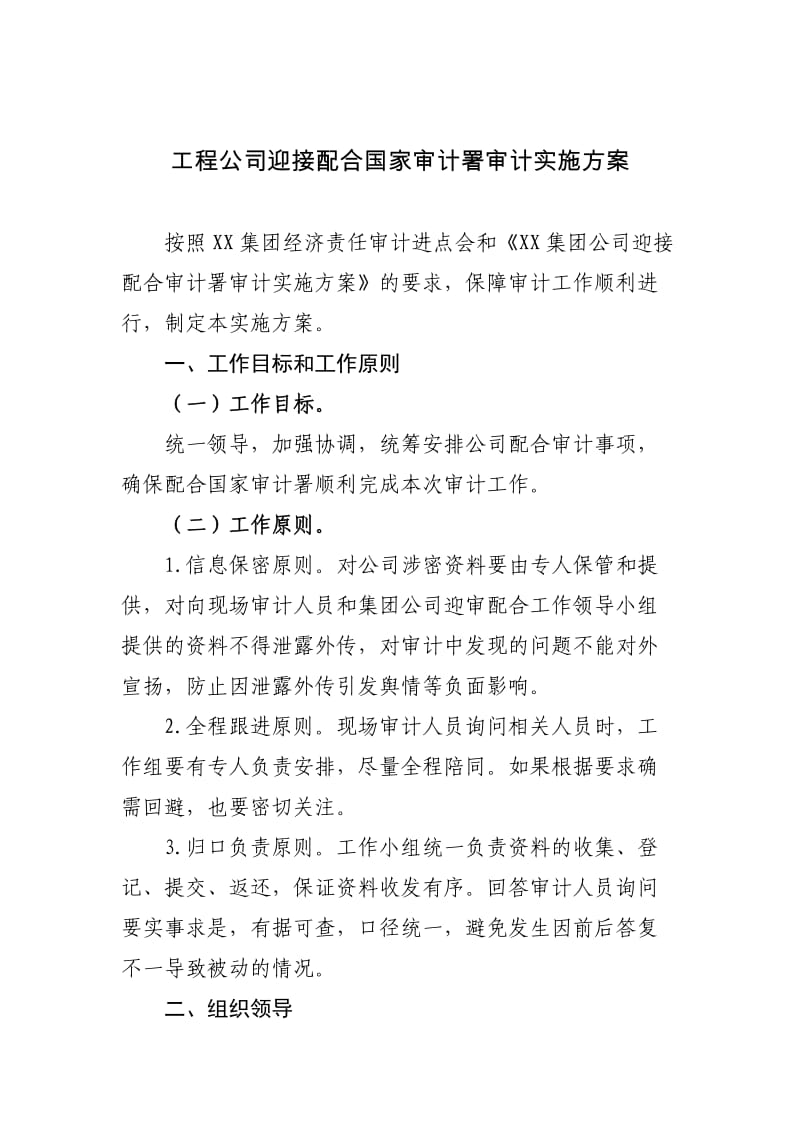 公司审计实施方案.doc_第1页