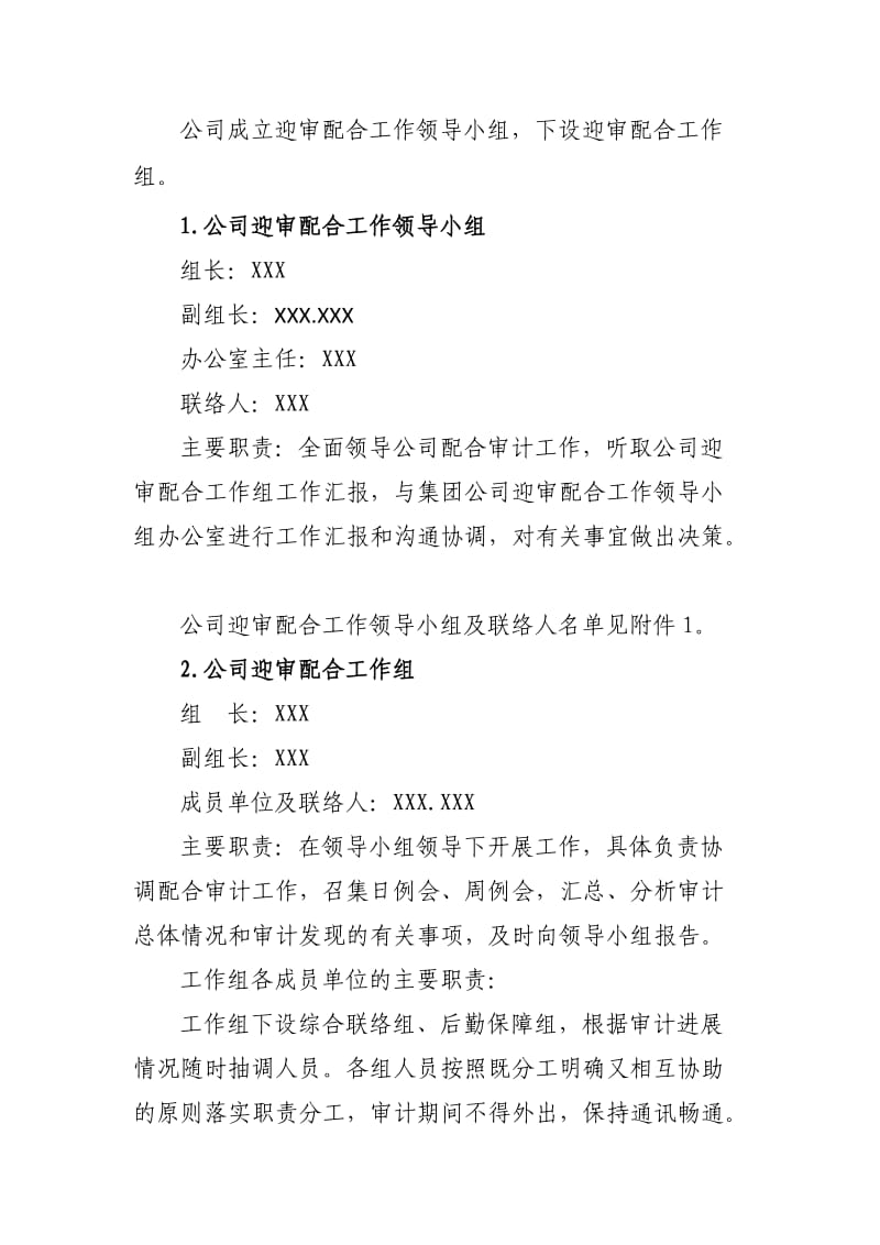 公司审计实施方案.doc_第2页