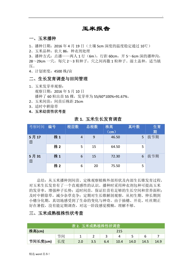 田间实验报告-玉米报告.doc_第1页