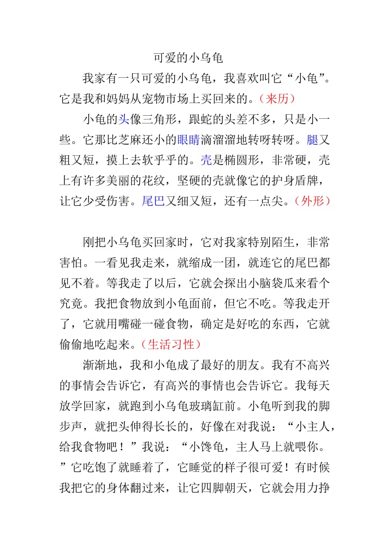 四年级作文小乌龟.doc_第1页