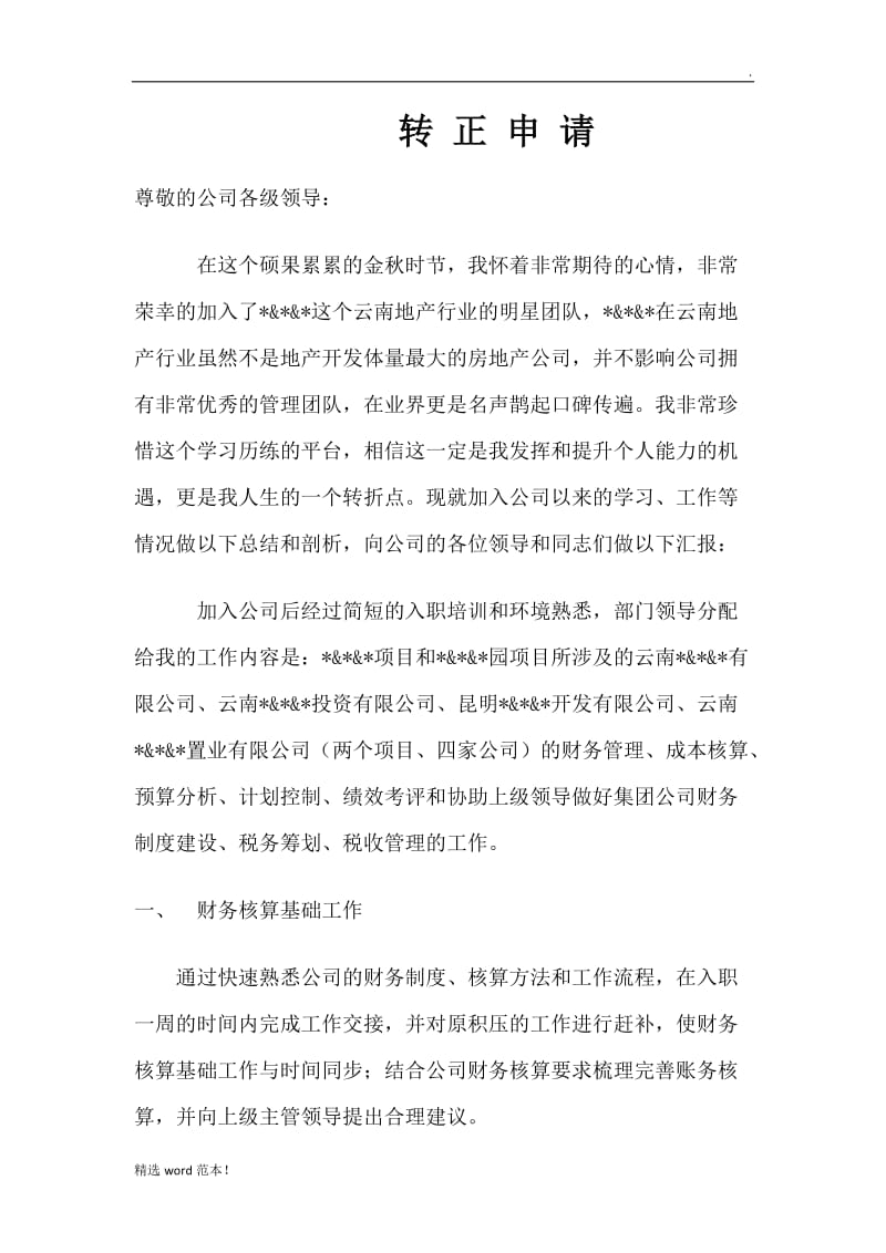 财务经理试用期工作总结及转正申请.doc_第1页