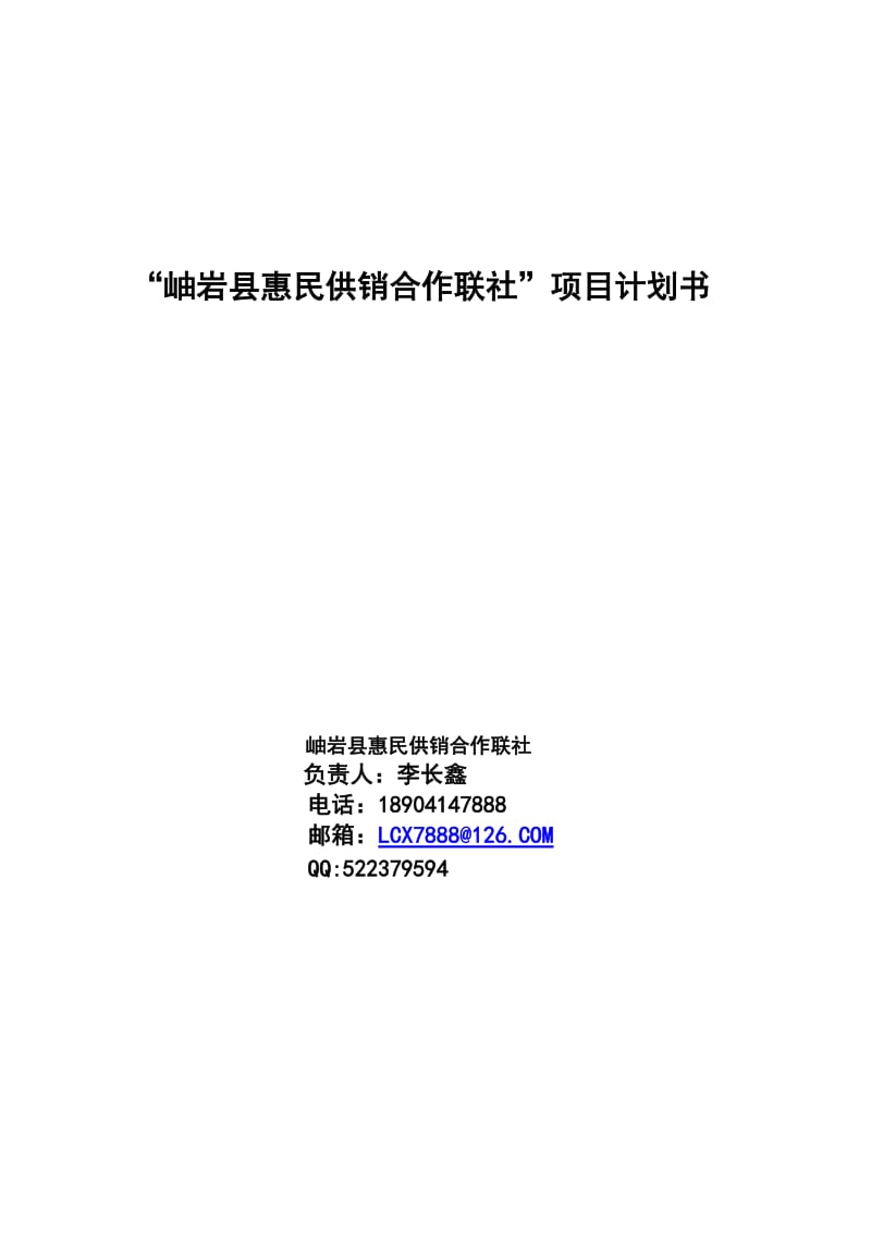 供销社项目计划书.doc_第1页