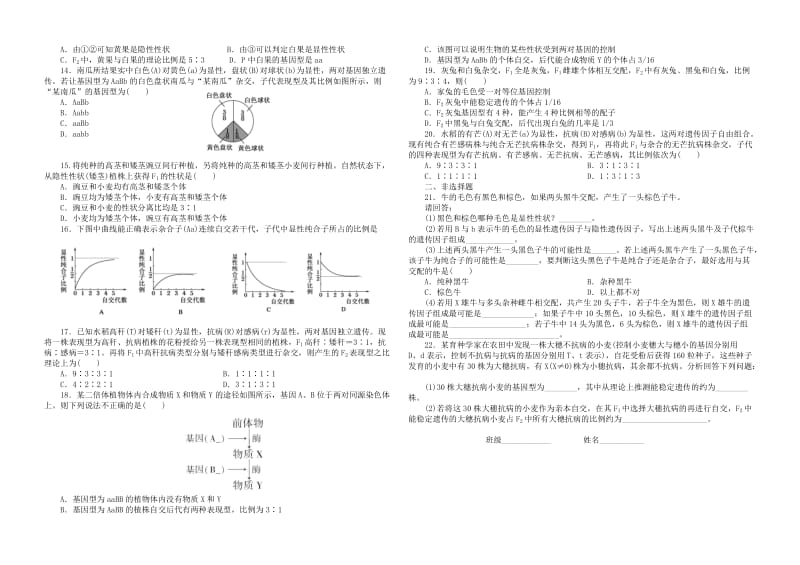 分离定律和自由组合定律精选练习题.doc_第2页