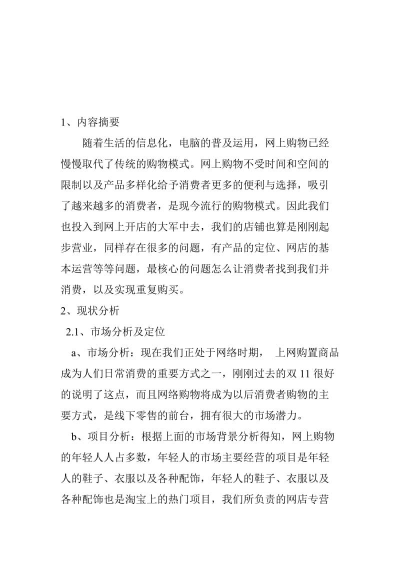 淘宝网店项目营销策划书.doc_第3页