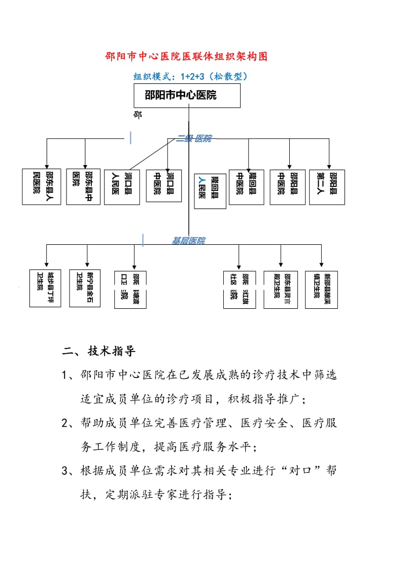 医联体建设实施发展方案.doc_第2页