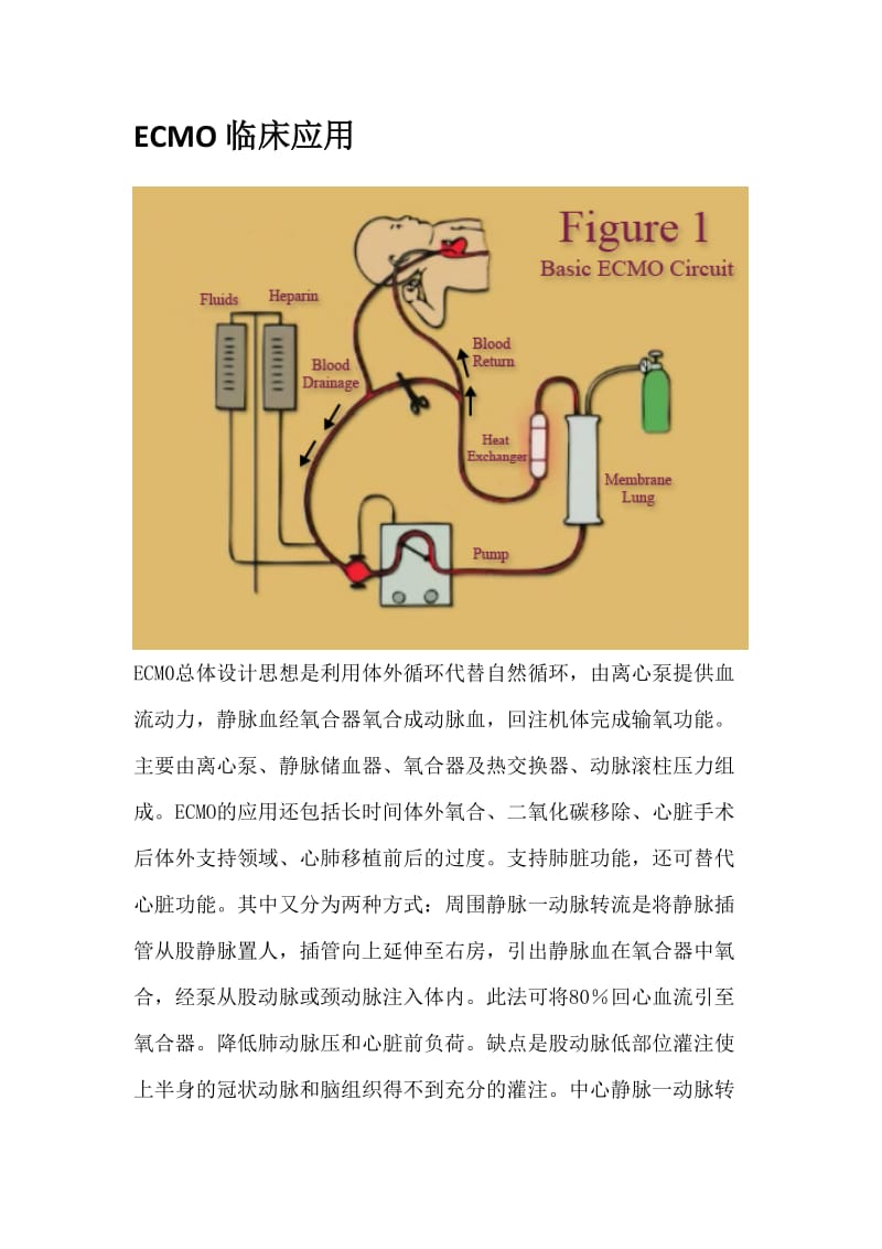 ECMO成组计划.doc_第3页