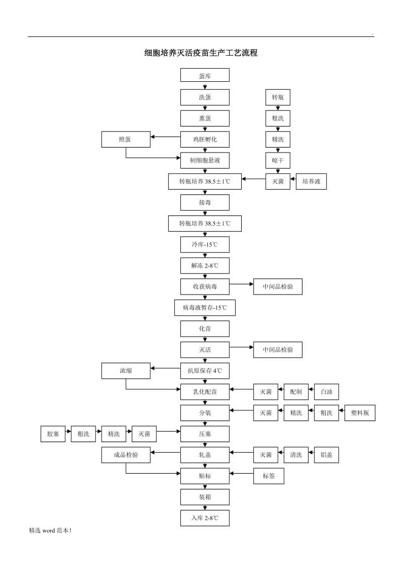 疫苗生产工艺流程图.doc_第2页