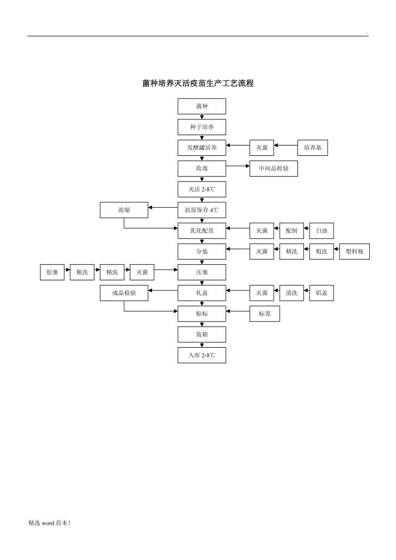 疫苗生产工艺流程图.doc_第3页