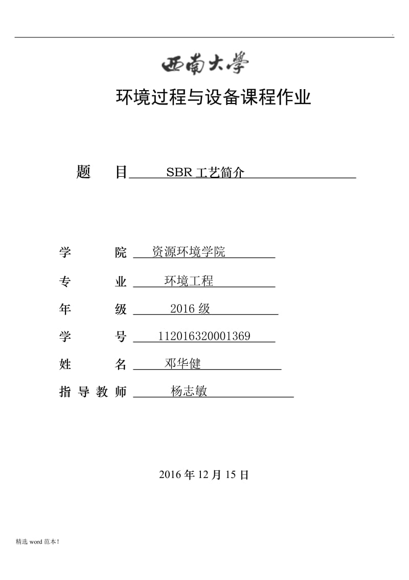 SBR工艺简介.doc_第1页