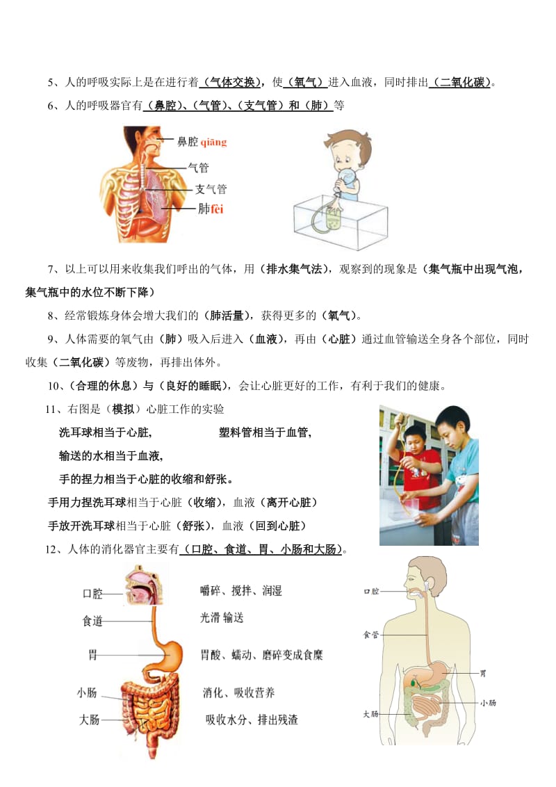 四年级科学上第四单元知识点.doc_第2页