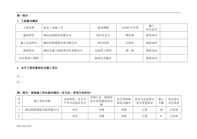 安全监理月报(样本).doc_第2页