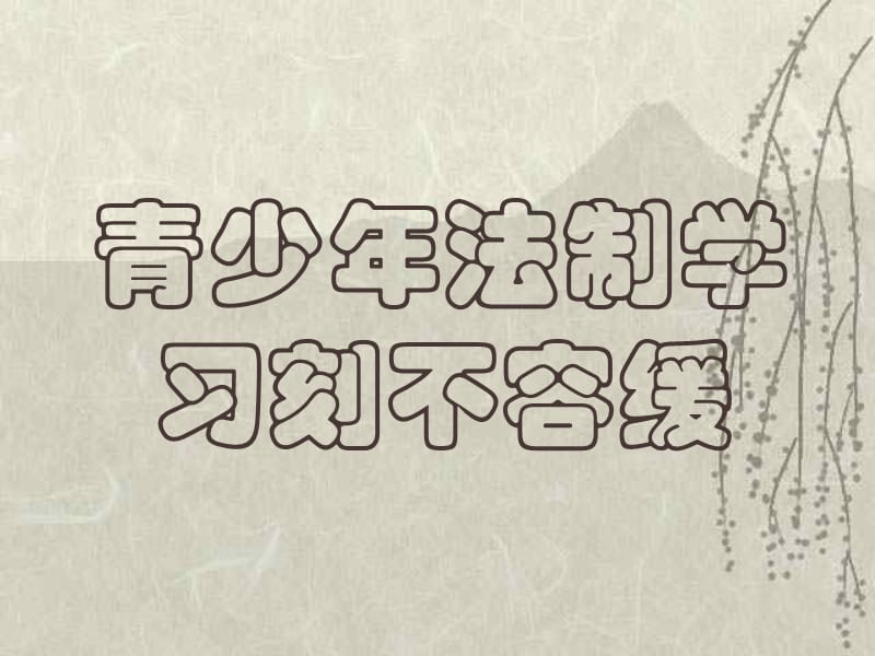 小学主题班会：法制教育 青少年法制学习刻不容缓_第1页