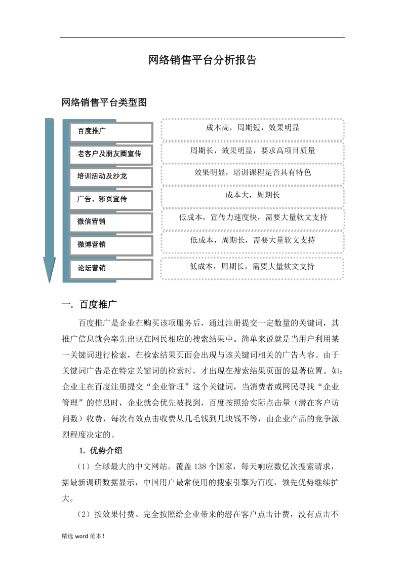 网络销售平台分析.doc_第1页