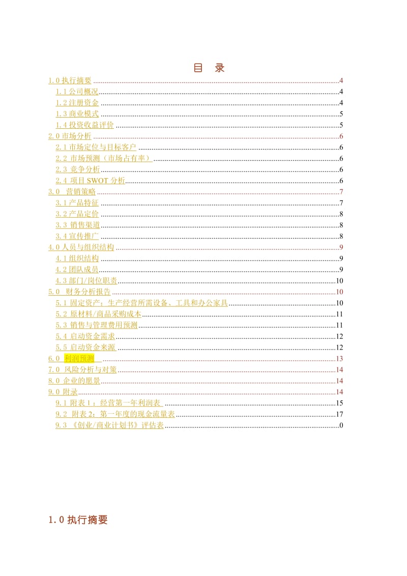 BP商业计划书模板.doc_第3页