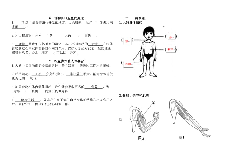 四年级上册科学第四单元知识点总结.doc_第2页