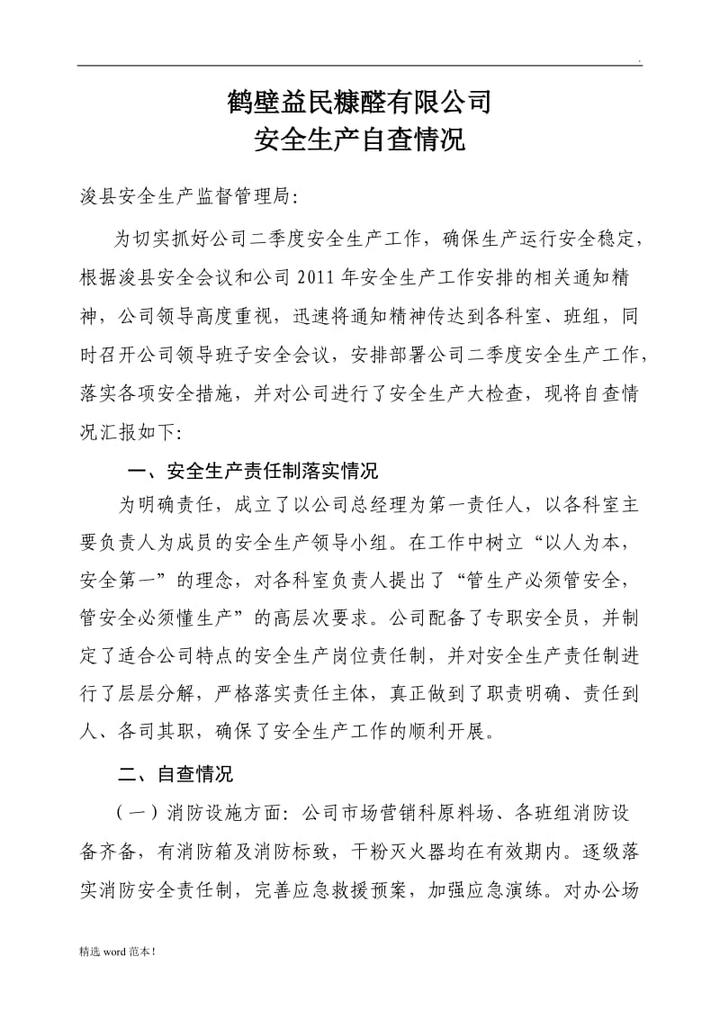 公司安全生产自查报告.doc_第1页