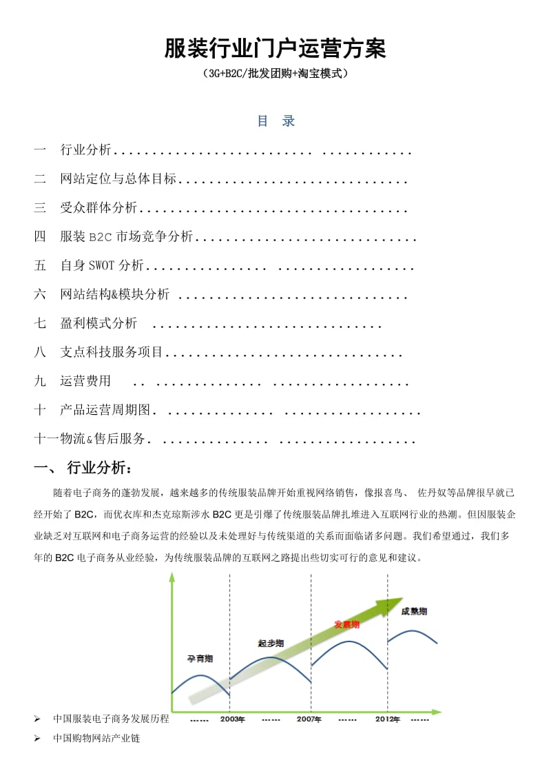 服装电子商务网站运营方案介绍.doc_第1页