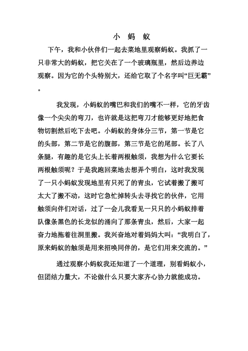 人教版小学三年级语文上册第四单元习作范文.doc_第1页