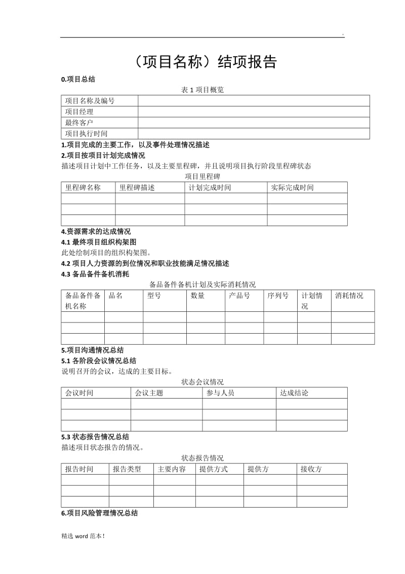 项目结项报告.doc_第1页