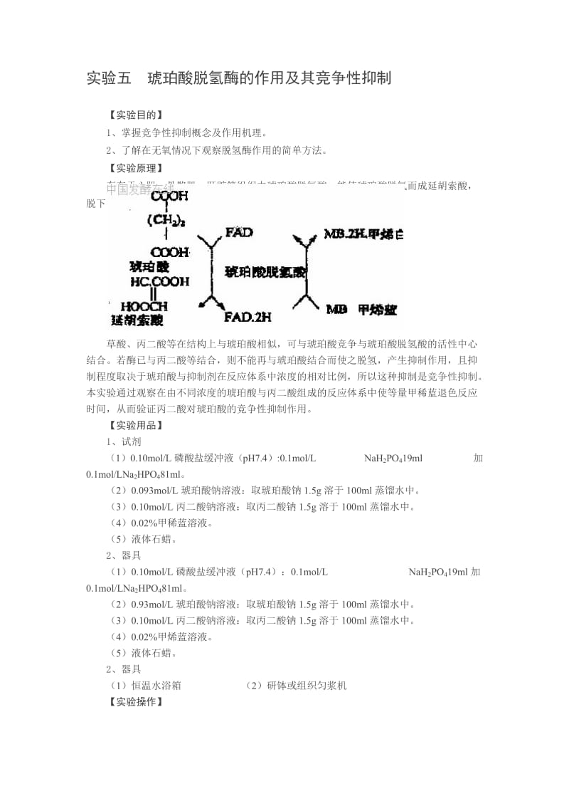 实验五琥珀酸脱氢酶的作用及其竞争性抑制.doc_第1页