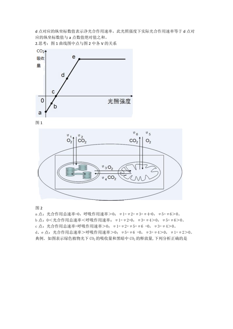 实际光合作用速率与净光合作用速率.doc_第2页