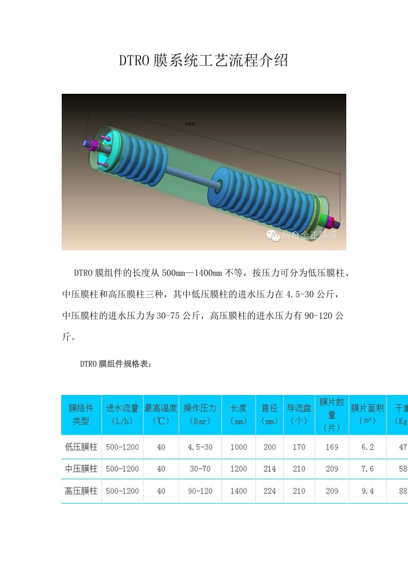 DTRO膜系统工艺流程介绍.doc_第1页