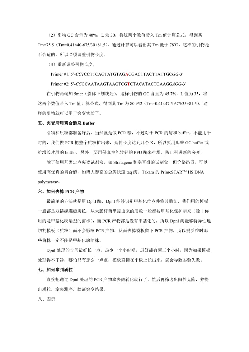 构建点突变质粒步骤.doc_第2页