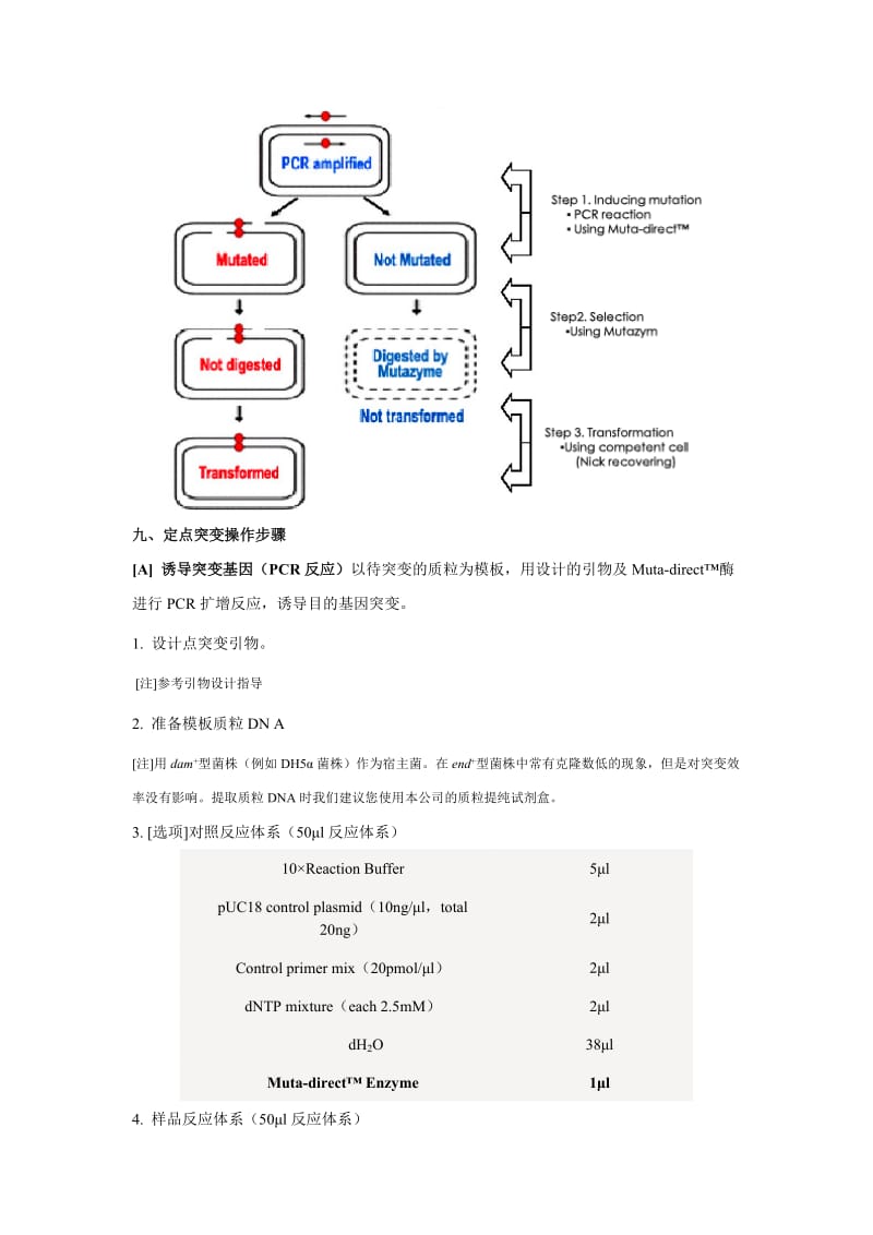 构建点突变质粒步骤.doc_第3页