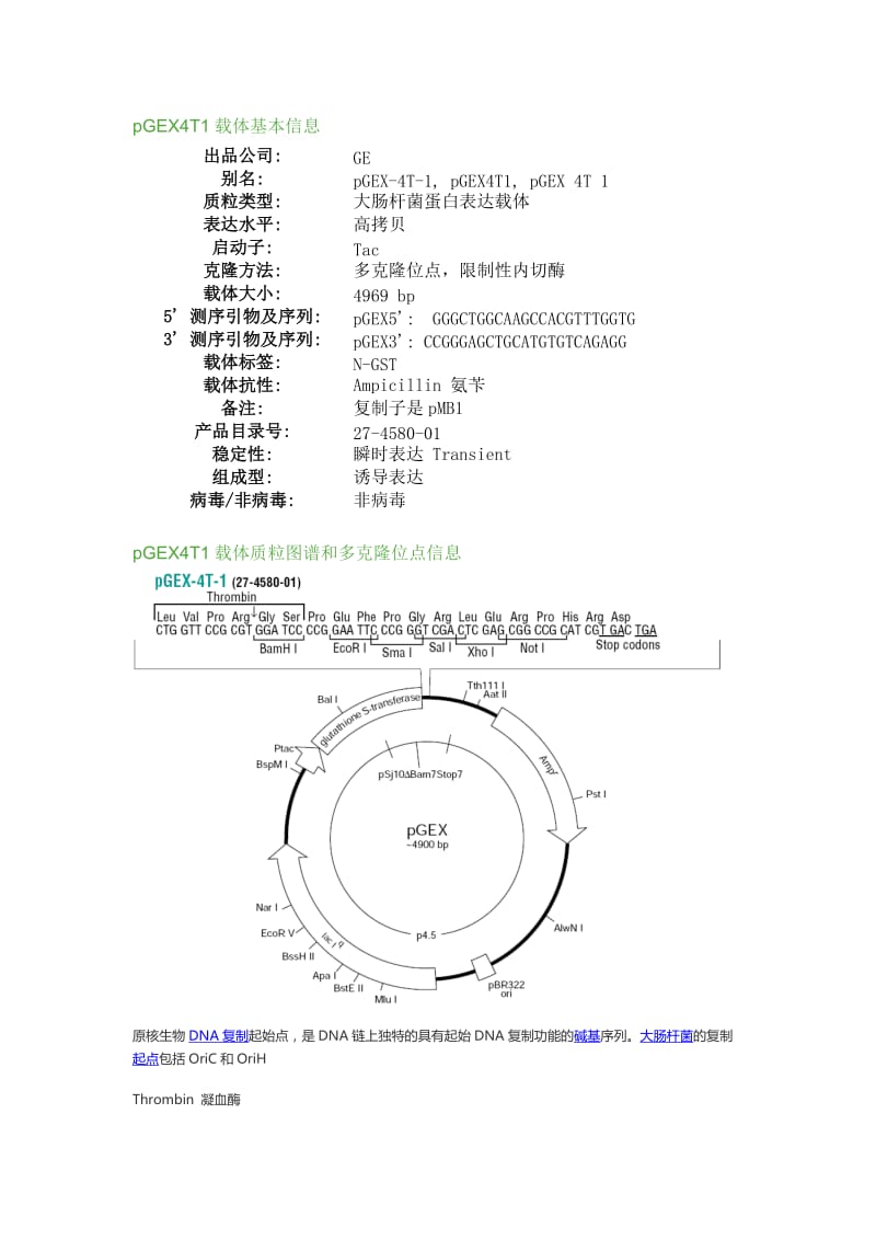 常用pGEX载体图谱.doc_第2页