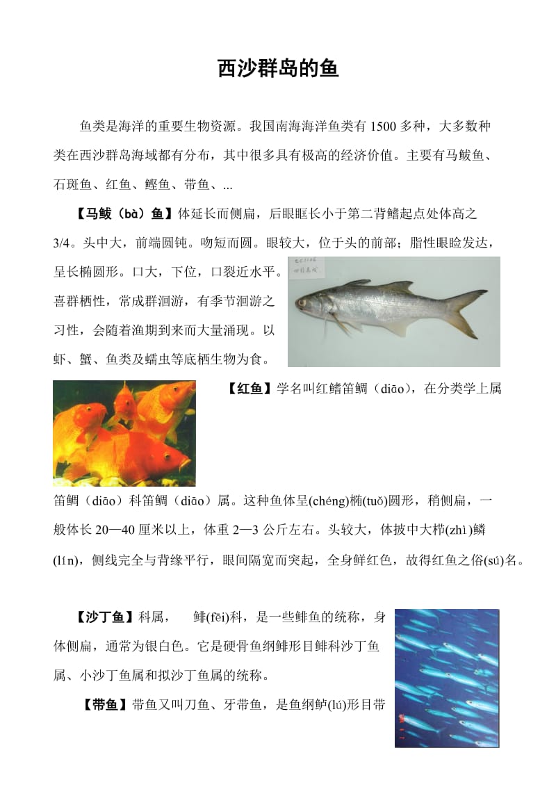 西沙群岛的鱼.doc_第1页