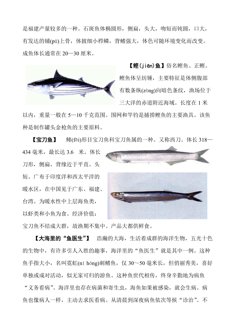 西沙群岛的鱼.doc_第3页