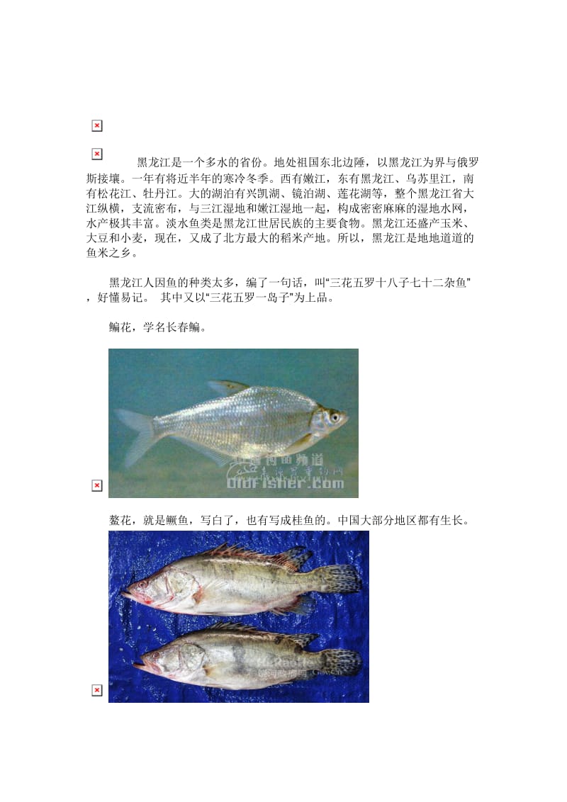 黑龙江鱼(三花五罗十八子七十二杂鱼).doc_第1页