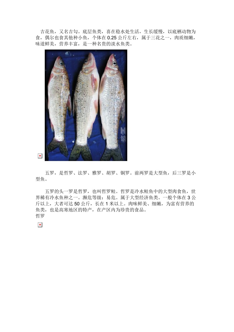 黑龙江鱼(三花五罗十八子七十二杂鱼).doc_第2页