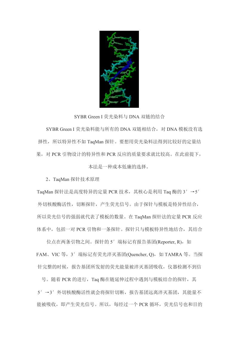 荧光定量PCR的原理及使用.doc_第2页