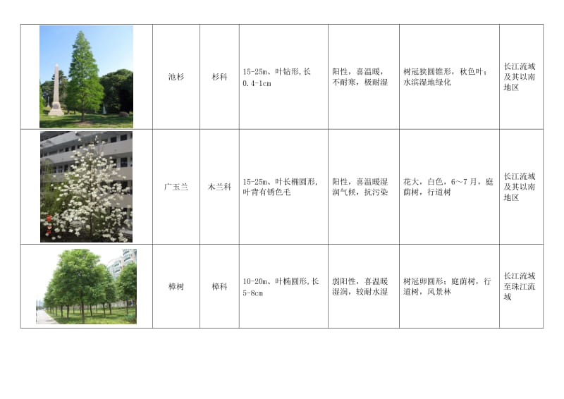 常用绿化植物种类图表.doc_第2页