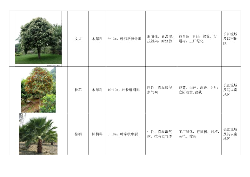 常用绿化植物种类图表.doc_第3页