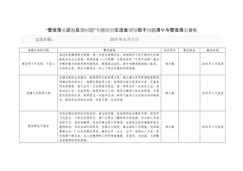 党支部班子整改台账.doc_第1页