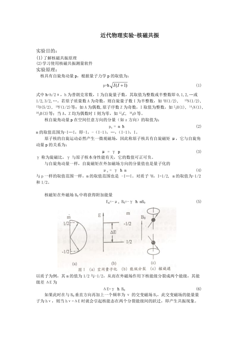 脉冲核磁共振实验.doc_第1页