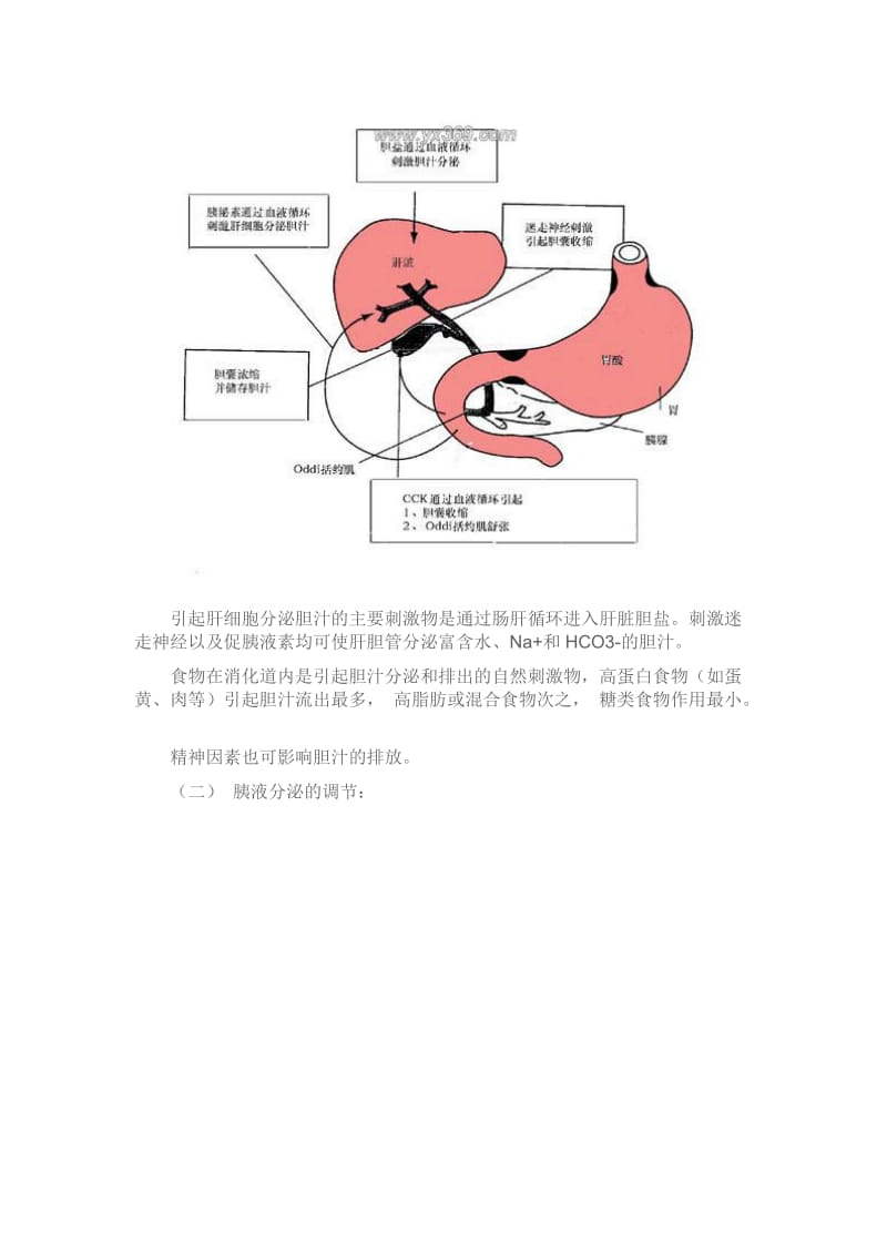 胃液胆汁胰液颜色.doc_第2页