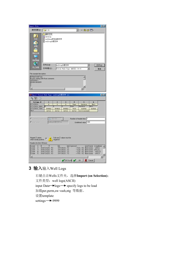 petrel建模步骤.doc_第3页