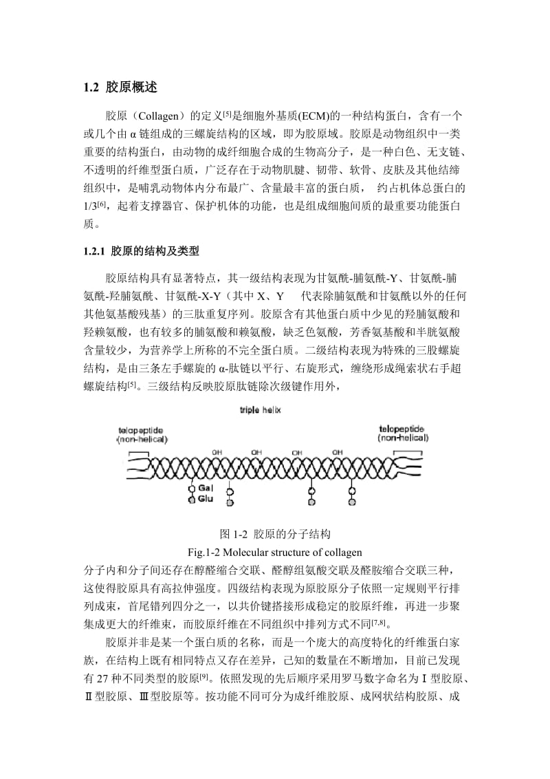 胶原蛋白类型.doc_第1页