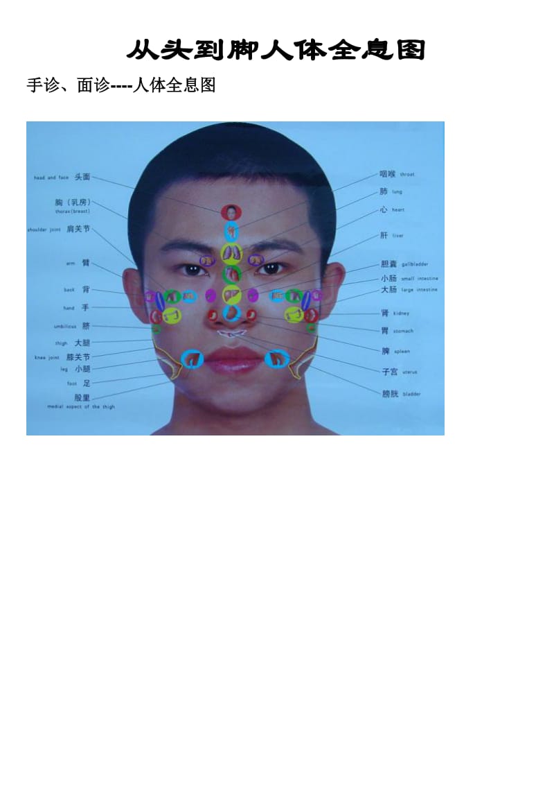 人体全息反射图解.doc_第1页