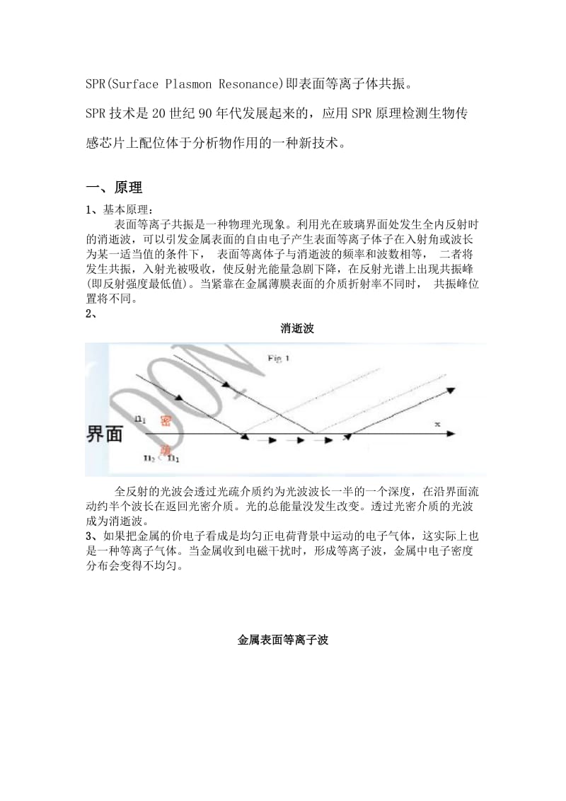 SPR基本原理应用及进展.doc_第1页