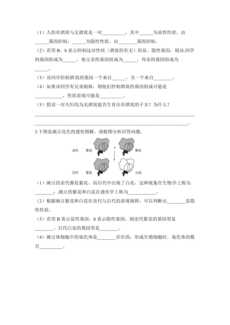 《性状遗传有一定的规律性》同步练习.doc_第3页