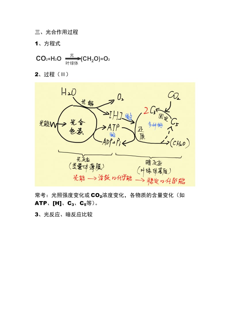 能量之源-光与光合作用知识点.docx_第2页