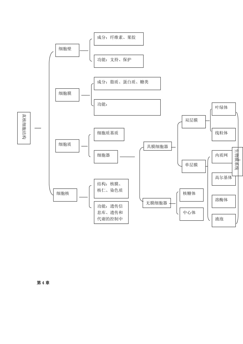 高一生物思维导图.doc_第2页