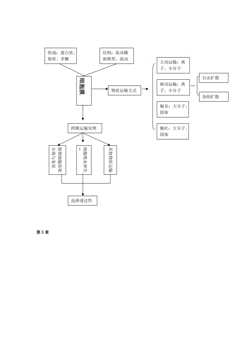 高一生物思维导图.doc_第3页