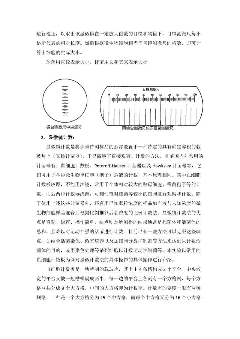 微生物大小及数量的测定.doc_第2页